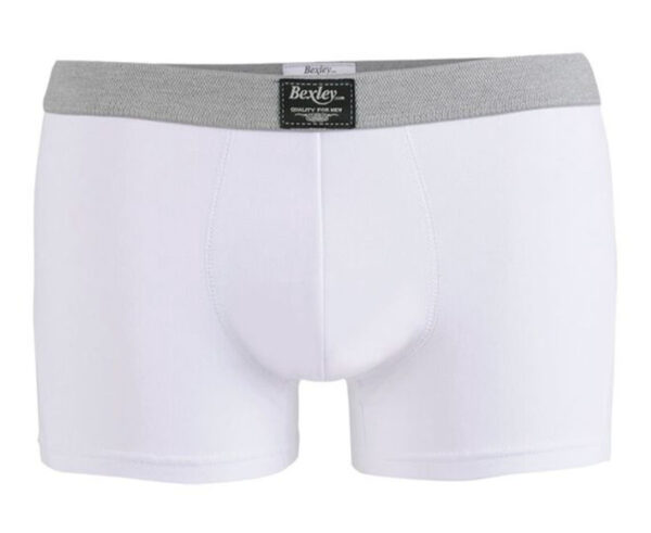 Boîte de 2 boxers homme - Blanc