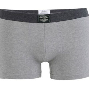 Boîte de 2 boxers homme Gris Chiné - ELLIOT